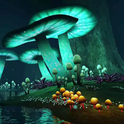 Play Magic Mushroom Live Wallpaper APK