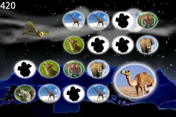 Play Magic Owl Free