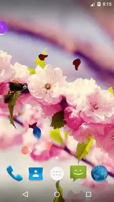 Play Magic Ripple - Blossom LWP