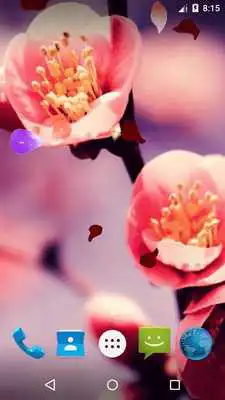 Play Magic Ripple - Blossom LWP
