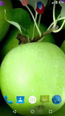 Play Magic Ripple - Green Apple
