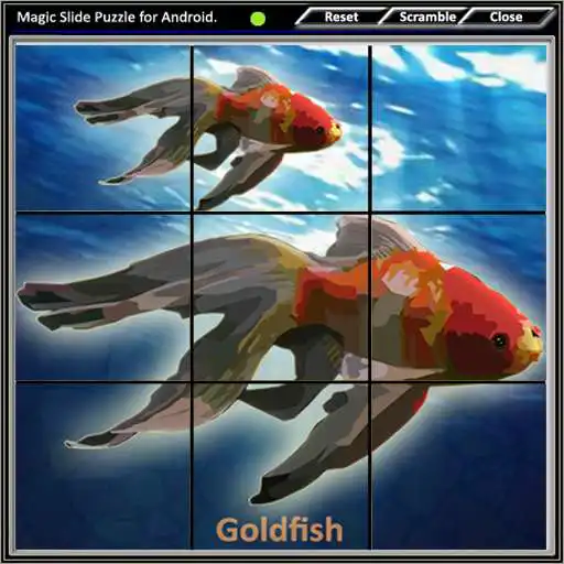 Play Magic Slide Puzzle A Fishes 1 APK