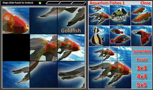 Play Magic Slide Puzzle A Fishes 1  and enjoy Magic Slide Puzzle A Fishes 1 with UptoPlay