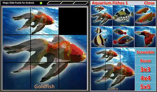 Play Magic Slide Puzzle A Fishes 1 as an online game Magic Slide Puzzle A Fishes 1 with UptoPlay