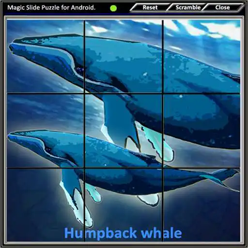 Play Magic Slide Puzzle B Fishes 1 APK