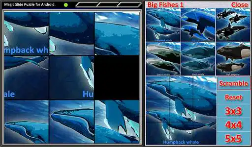 Play Magic Slide Puzzle B Fishes 1  and enjoy Magic Slide Puzzle B Fishes 1 with UptoPlay