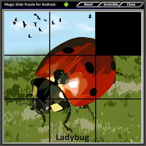 Play Magic Slide Puzzle Insects 1 APK