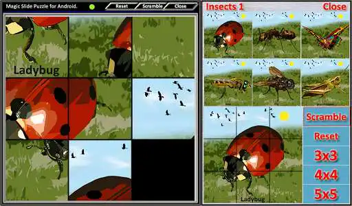 Play Magic Slide Puzzle Insects 1  and enjoy Magic Slide Puzzle Insects 1 with UptoPlay