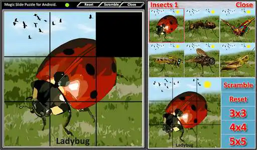Play Magic Slide Puzzle Insects 1 as an online game Magic Slide Puzzle Insects 1 with UptoPlay