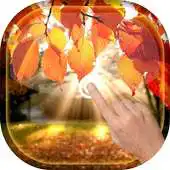 Free play online Magic Touch - Autumn LWP APK