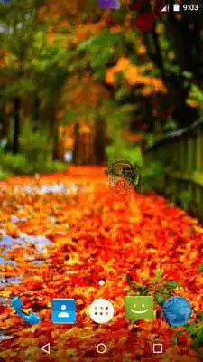 Play Magic Touch - Autumn LWP