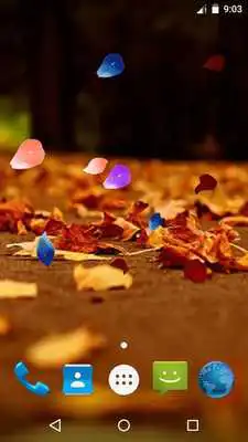 Play Magic Touch - Autumn LWP