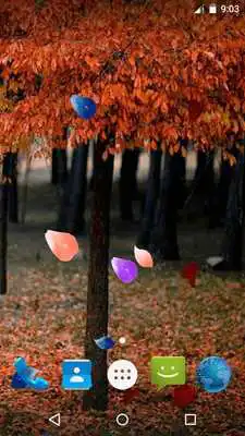 Play Magic Touch - Autumn LWP