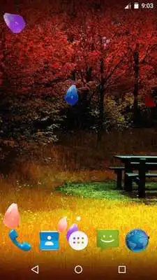 Play Magic Touch - Autumn LWP