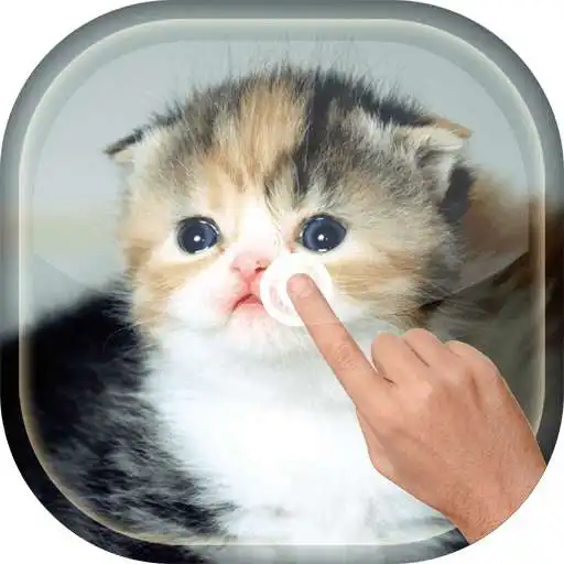 Free play online Magic Touch - Cute Cat APK Free play online Magic Touch - Cute Cat APK