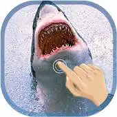 Free play online Magic Touch Shark Attack LWP APK Free play online Magic Touch Shark Attack LWP APK