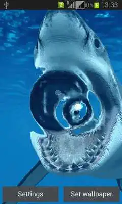 Play Magic Touch Shark Attack LWP
