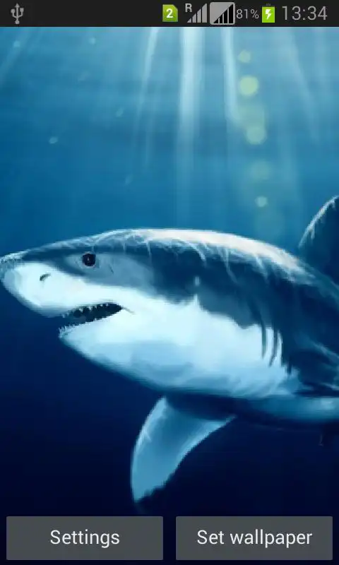 Play Magic Touch Shark Attack LWP
