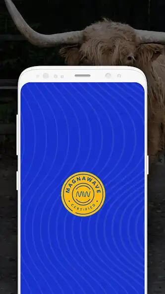 Play MagnaWave PEMF  and enjoy MagnaWave PEMF with UptoPlay
