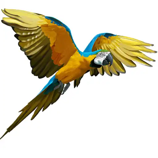 Play Magnificent birds APK