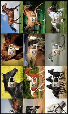 Play Magnificent horses Puzzle