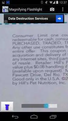 Play Magnifying Flashlight Play Magnifying Flashlight