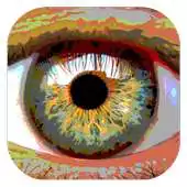 Free play online Magnifying Glass Live APK Free play online Magnifying Glass Live APK