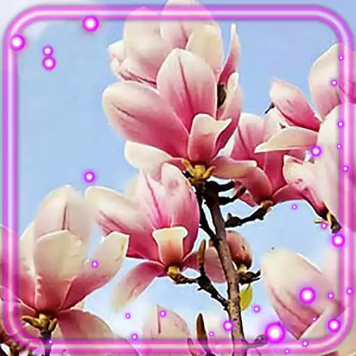 Free play online magnolia live wallpaper APK