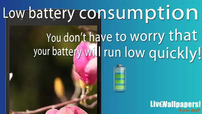 Play magnolia live wallpaper Play magnolia live wallpaper