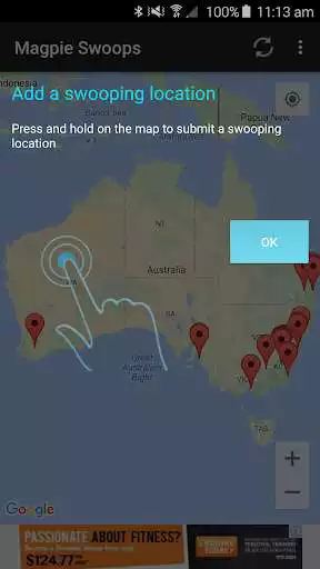 Play Magpie Swoops