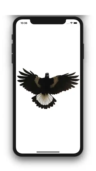 Play Magpi+  and enjoy Magpi+ with UptoPlay