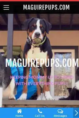 Play maguirepups.com