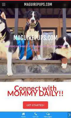 Play maguirepups.com
