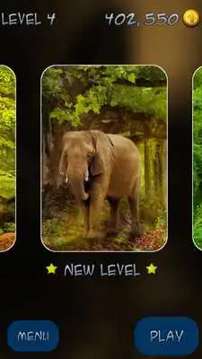 Play Mahjong: Animal Day Story