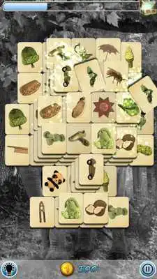 Play Mahjong: Animal Day Story