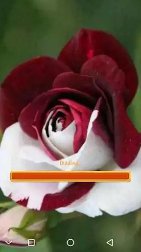 Play Mahjong Game  and enjoy Mahjong Game with UptoPlay