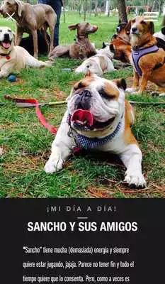 Play Maite Perroni World