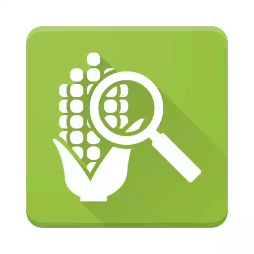Free play online Maize Analyzer APK