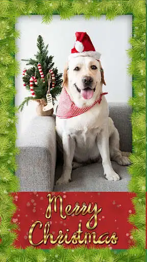 Play Make Christmas Cards of Photos as an online game Make Christmas Cards of Photos with UptoPlay