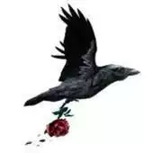 Free play online Make It Soar APK Free play online Make It Soar APK