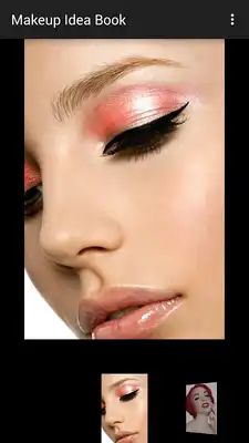 Play Makeup Idea Book Updater