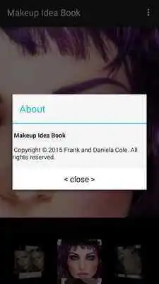 Play Makeup Idea Book Updater