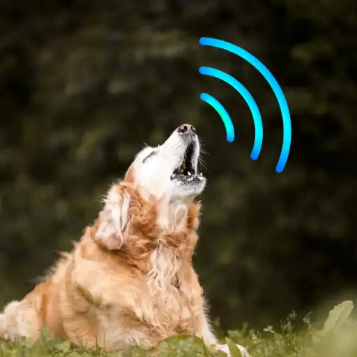 Play Make your dog howl APK