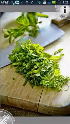 Play Maki Strunc Photography