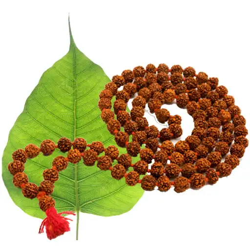 Play Mala Count APK Play Mala Count APK