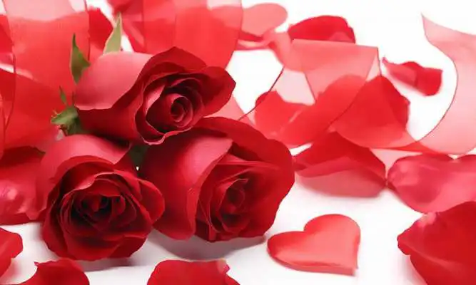 Play Malagasy Love Songs