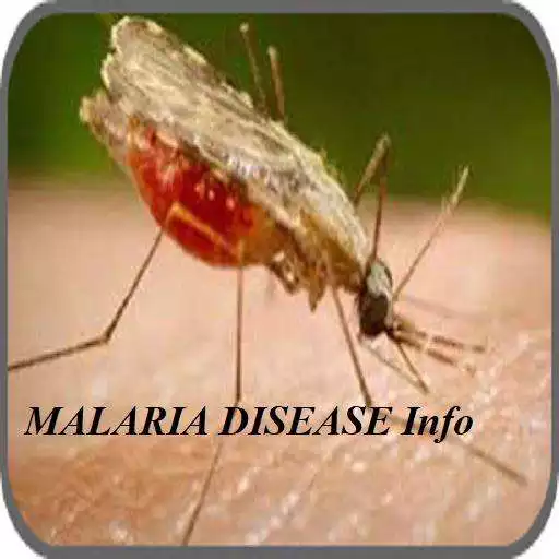 Free play online Malaria Disease APK Free play online Malaria Disease APK