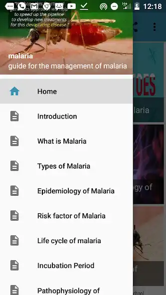 Play Malaria Disease