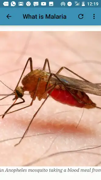 Play Malaria Disease