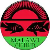 Free play online Malawi Cichlid APK Free play online Malawi Cichlid APK